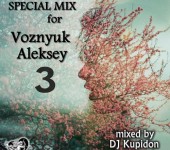 Кавер альбома DJ Kupidon – SPECIAL MIX for Voznyuk Aleksey 3 (2018)